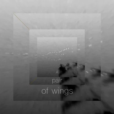 A Pair of Wings