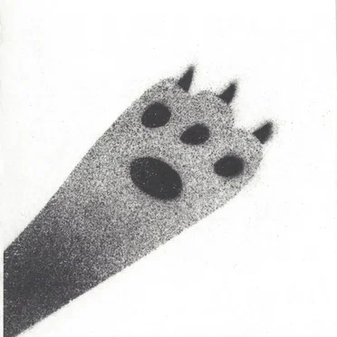 The Cat