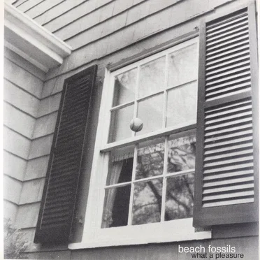 What a Pleasure by Beach Fossils - album cover