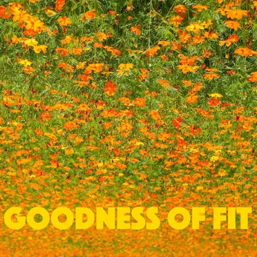 GOODNESS OF FIT by 샘미 - album cover