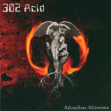 302 Acid