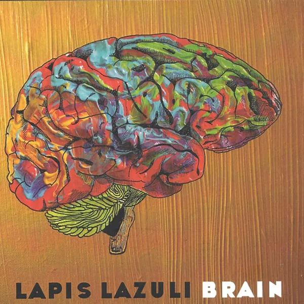 Brain