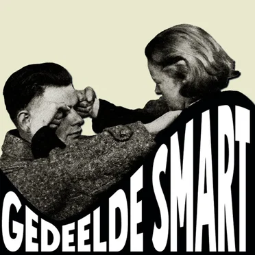 Gedeelde Smart by Volksweerbaarheid - album cover