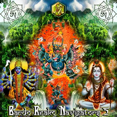 Bardo Realm Navigators 2 by Various Artists - album cover