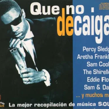 Que no decaiga by Various Artists - album cover