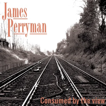 Consumed by the view by James Perryman - album cover