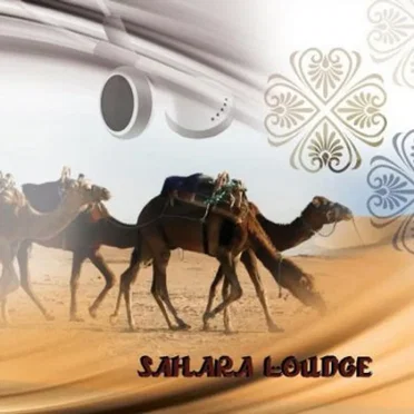 Sahara Lounge by Various Artists - album cover