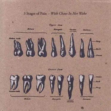 With Chaos in Her Wake by 3 Stages of Pain - album cover