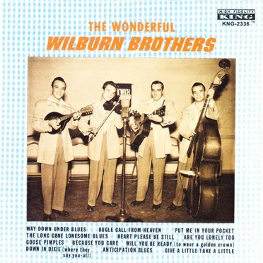 The Wonderful Wilburn Brothers