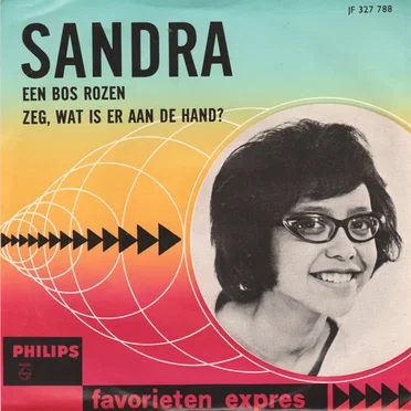 Een bos rozen / Zeg, wat is er aan de hand?