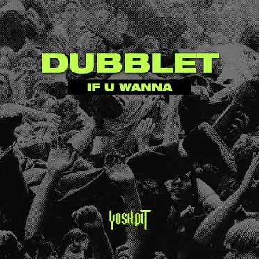 If You Wanna by DubbleT - album cover