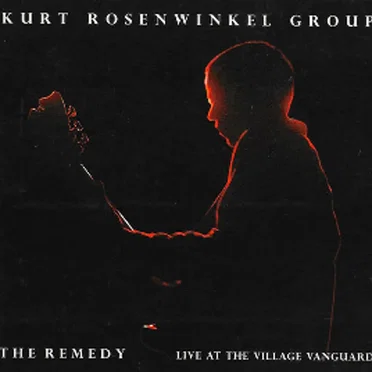 The Remedy: Live at the Village Vanguard