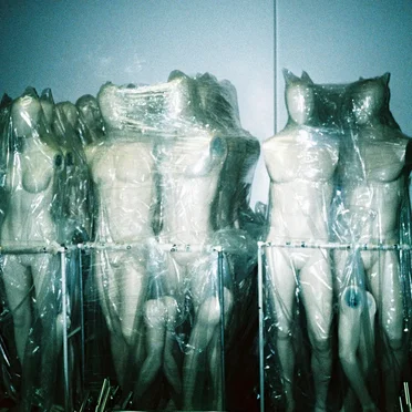 Another Reflection (Freestyle)