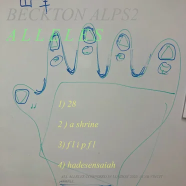 Alleles
