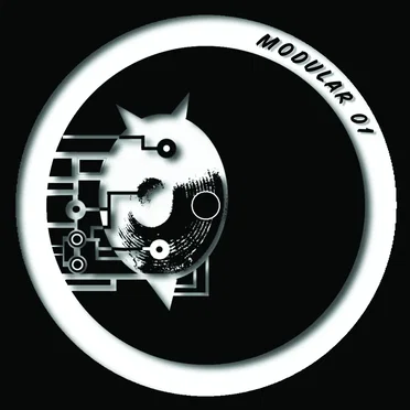 Modular 01