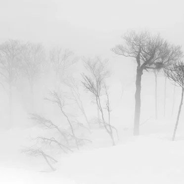 What Has Remained: The Lost Teachings of the Antithesis
