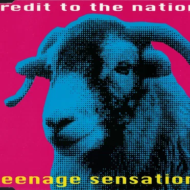 Teenage Sensation by Credit to the Nation - album cover