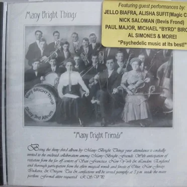Many Bright Friends by Many Bright Things - album cover