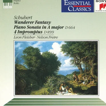 Wanderer Fantasy / Piano Sonata In A Major D 664 / 4 Impromptus D 899