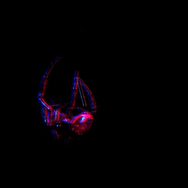 Parallax Phase