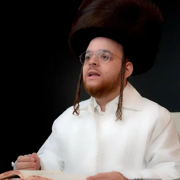 אליהו הנביא by Zrilly Werzberger - album cover