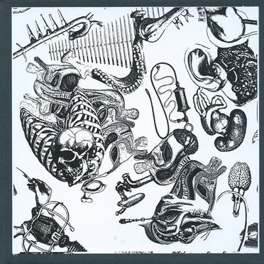 Nerve Junction