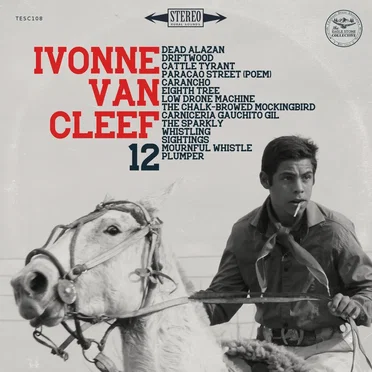 12 by Ivonne Van Cleef - album cover