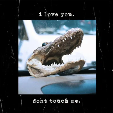 i love you. dont touch me. by Icarus Airline - album cover