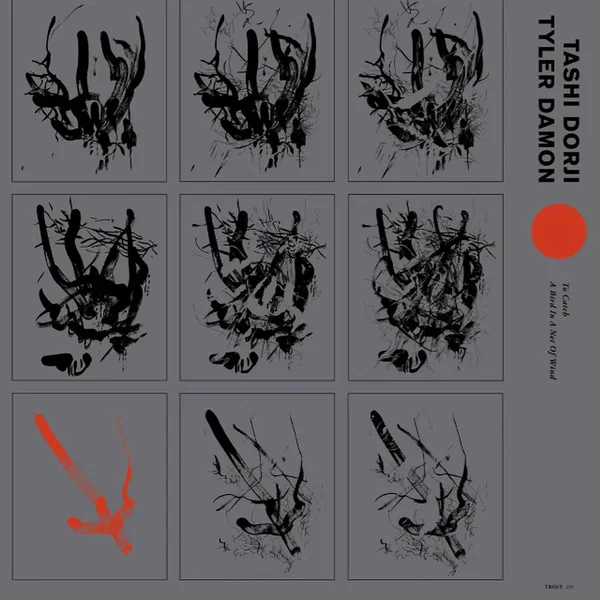 To Catch a Bird in a Net of Wind