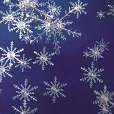Winter Tales by Bride Of Chaotica - album cover