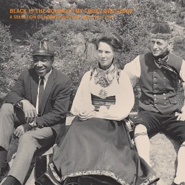 Black Is the Color of My True Love's Hair: A Selection of Norwegian Folk Jazz 1971 - 1977 by Various Artists - album cover