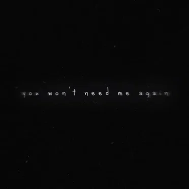 you won’t need me again