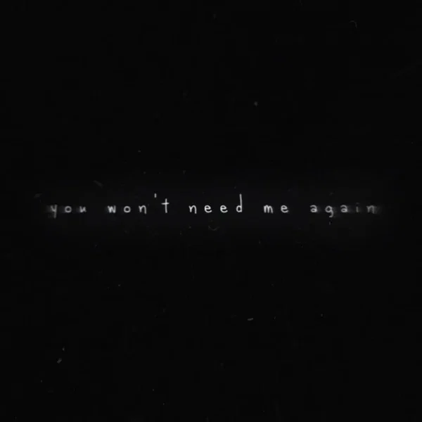 you won’t need me again