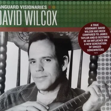Vanguard Visionaries: David Wilcox