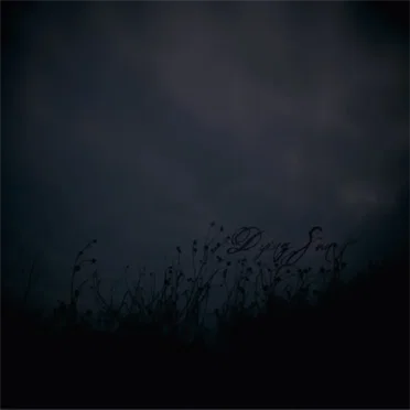 12212010