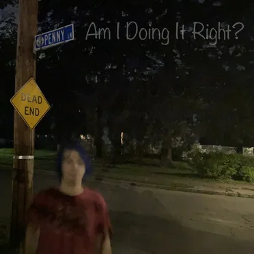 Am I Doing This Right? by The Puzzled Smiles - album cover