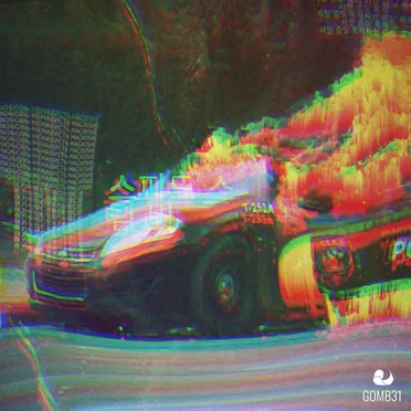 Istanbul by Animal Holocaust - album cover