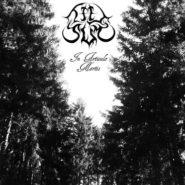In Articulo Mortis by Tiil Sum - album cover