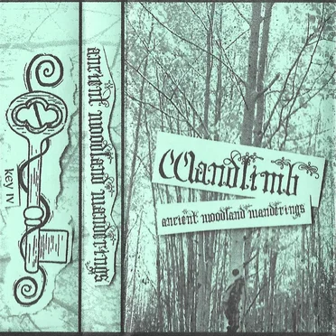 Ancient Woodland Wanderings by Wandlimb - album cover