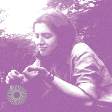 Magic Stories They Have Brought to Me (A Beginner’s Guide to the Owl Service)