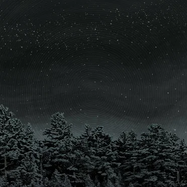 She’s an Icicle by The Besnard Lakes - album cover