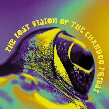 The Lost Vision of the Chandoo Priest by The Lost Vision of the Chandoo Priest - album cover
