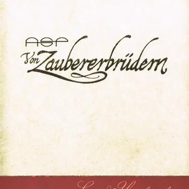 Von Zaubererbrüdern: Live & Unplugged
