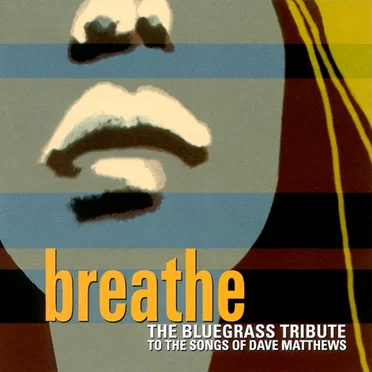 Breathe: The Bluegrass Tribute to the Songs of Dave Matthews by Various Artists - album cover