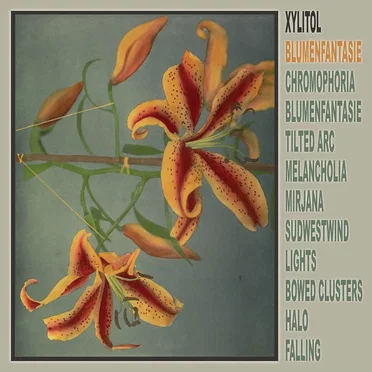 Blumenfantasie by Xylitol - album cover
