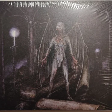 Svøpt morgenrød & Rituell katarsis by Dark Sonority - album cover