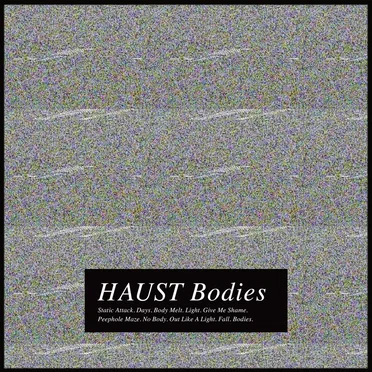 Bodies