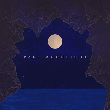 Pale Moonlight by The Gray Havens - album cover