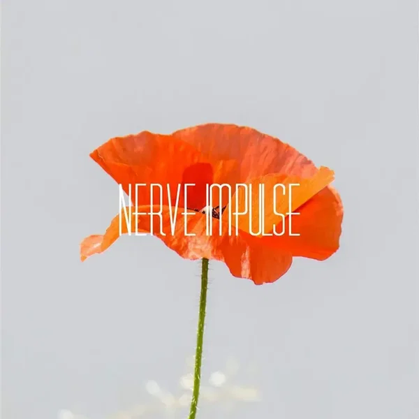 ナーヴ・インパルス