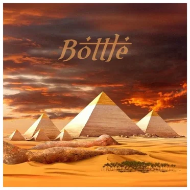 Bottle